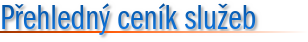 I. T. C. - Ing. Jan Žižka, Přehledný ceník služeb